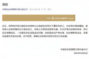 开云电竞手机版下载截图1